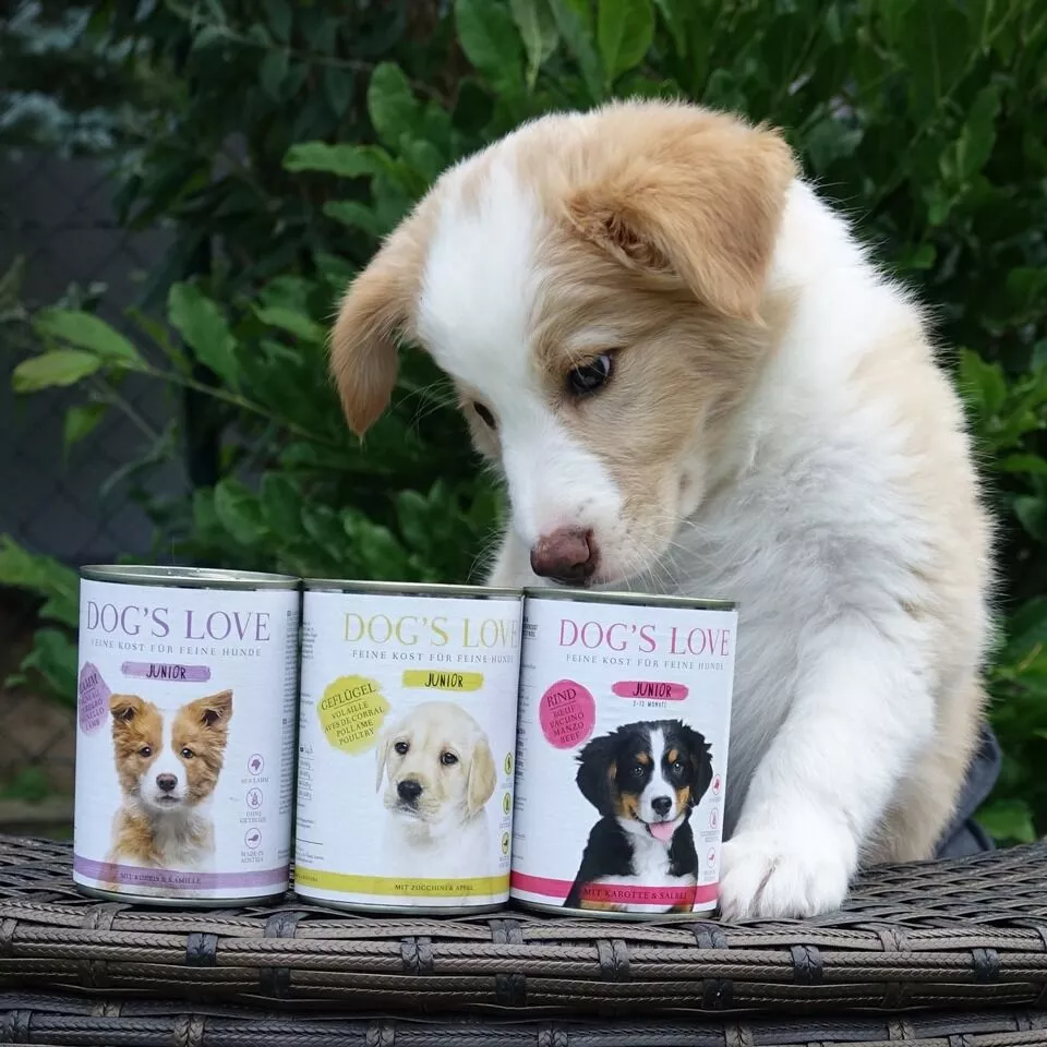 hundebett fr allergiker Hundebett Baumwolle VISCO orthopdisch ideal fr Allergiker, waschbar   Waidgold