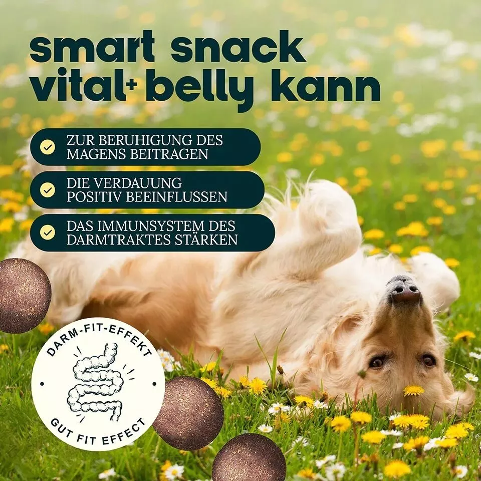 Hunde-Trockenfutter zum probieren im Set | DOG'S LOVE