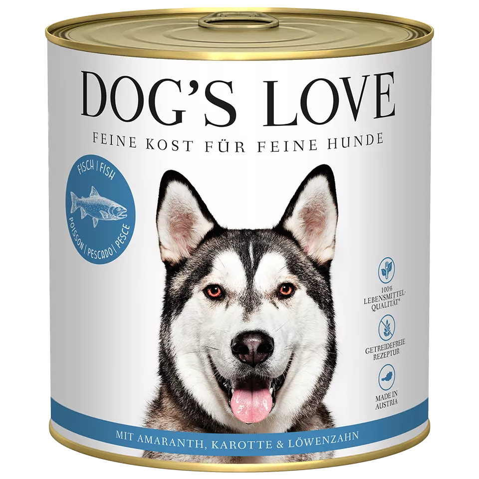 Premium Hunde-Nassfutter Fisch jetzt kaufen | DOG'S LOVE