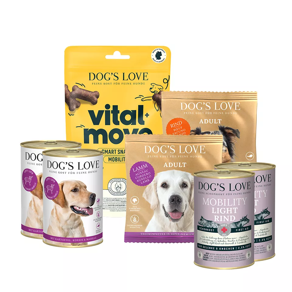 stabiles hundebett Hundebett waschbar jetzt online bestellen main image 1