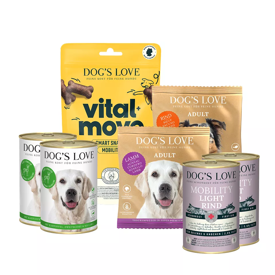 Golden Retriever Futter im Set | DOG'S LOVE