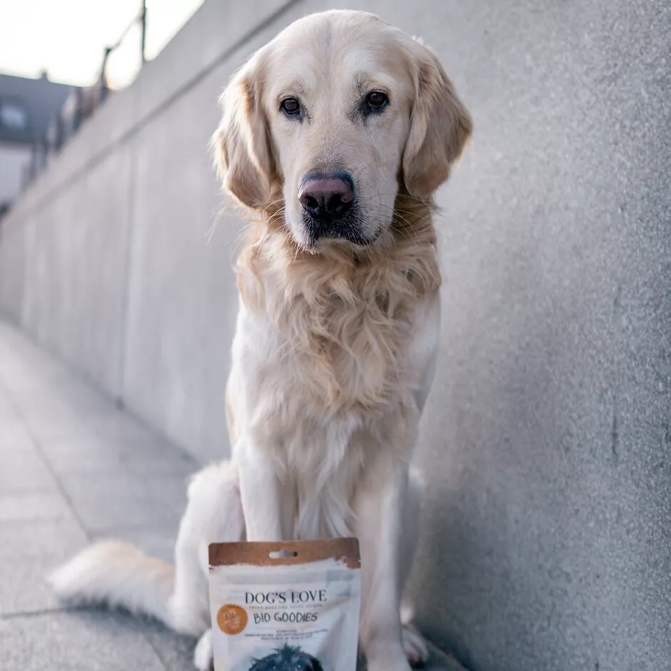 Hund mit einer Packung Bio Pute von Dog's Love