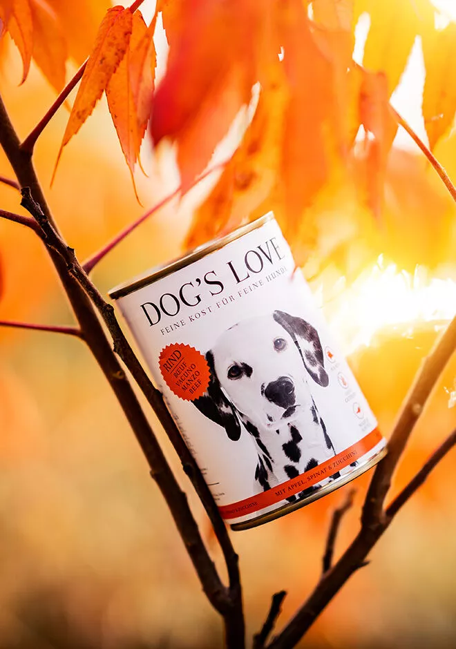 Dog's Love Hundefutterdose auf einem Baum