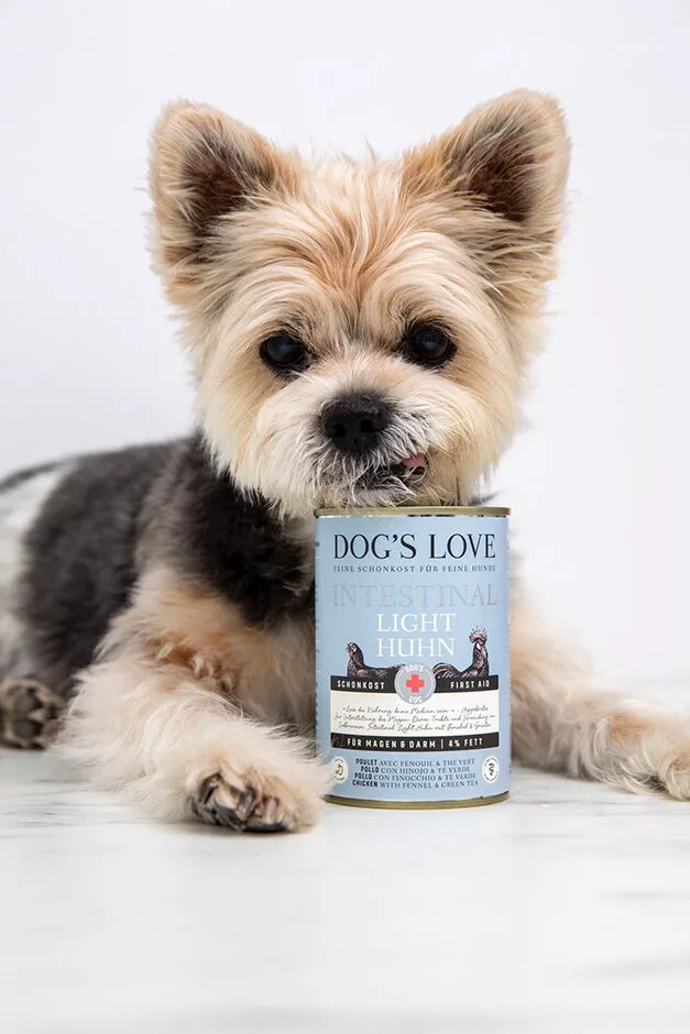 Hund mit Dose Schonkost Hundefutter von Dog's Love
