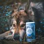 Hund liegt neben einer Dose Super Protect von Dog's Love