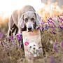 Hund mit einer Packung Trockenfutter von Dog's Love