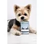 Hund mit Dose Schonkost Hundefutter von Dog's Love