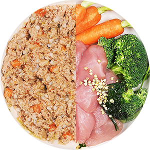 Futterschale mit Nassfutter und Inhalten wie Huhn, Brokkoli und Karotten