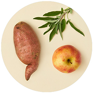 Eine Süßkartoffel, ein Apfel und Salbei auf beigen Hintergrund