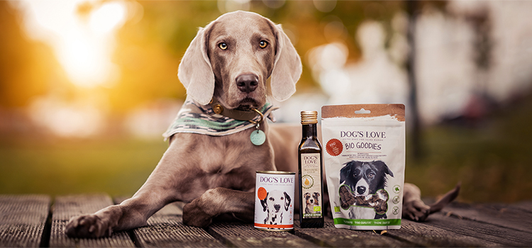 Ein Hund der auf einem Steg liegt und vor dem unterschiedliche DOG'S LOVE Produkte stehen.