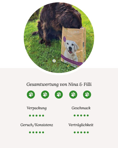 Ein Bild von Filli auf welchem er den Kopf im Trockenfuttersack vergraben hat und etwas daraus frisst