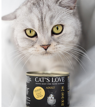 katze sitzt vor einer dose CATS LOVE katzenfutter