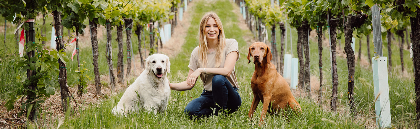 Katharina Miklauz zwischen den Weinreben mit den Familienhunden Nala und Pluto