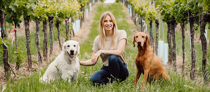 Katharina Miklauz zwischen den Weinreben mit den Familienhunden Nala und Pluto