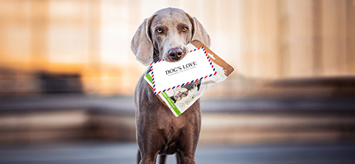 Hund der eine Packung DOG'S LOVE Snacks und einen Brief im Maul hat