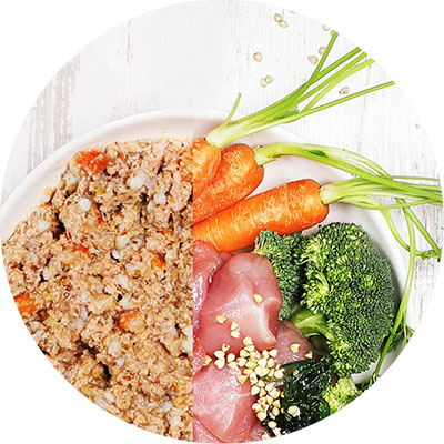 Futternapf mit Nassfutter und Inhaltsstoffen wie Huhn Brokkoli und Karotten