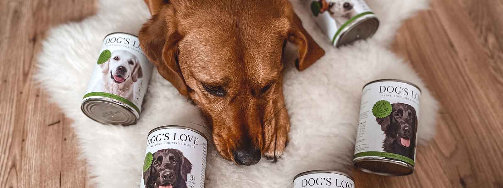 Der Hund Lotti liegt auf einem kleinen Kunstfell umzingelt mit DOG'S LOVE Nassfuter Adult Wild