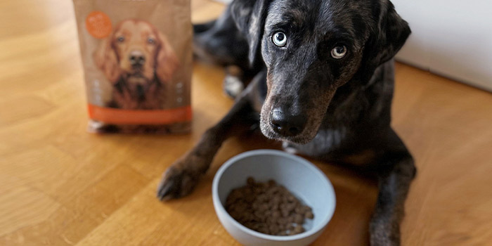 Ein Hund mit einem Futternapf voll Trockenfutter und dem DOG'S LOVE Trockenfutter Pute
