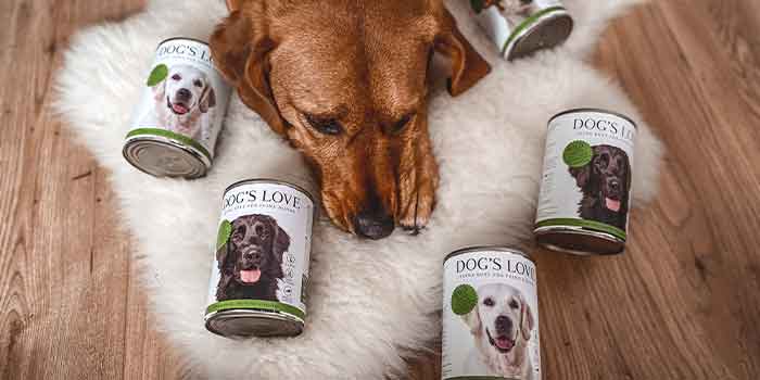 Der Hund Lotti liegt auf einem kleinen Kunstfell umzingelt mit DOG'S LOVE Nassfuter Adult Wild