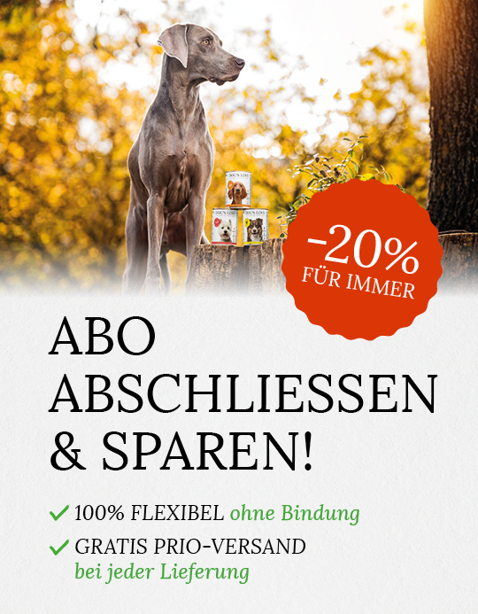 Abo Abschliessen & Sparen