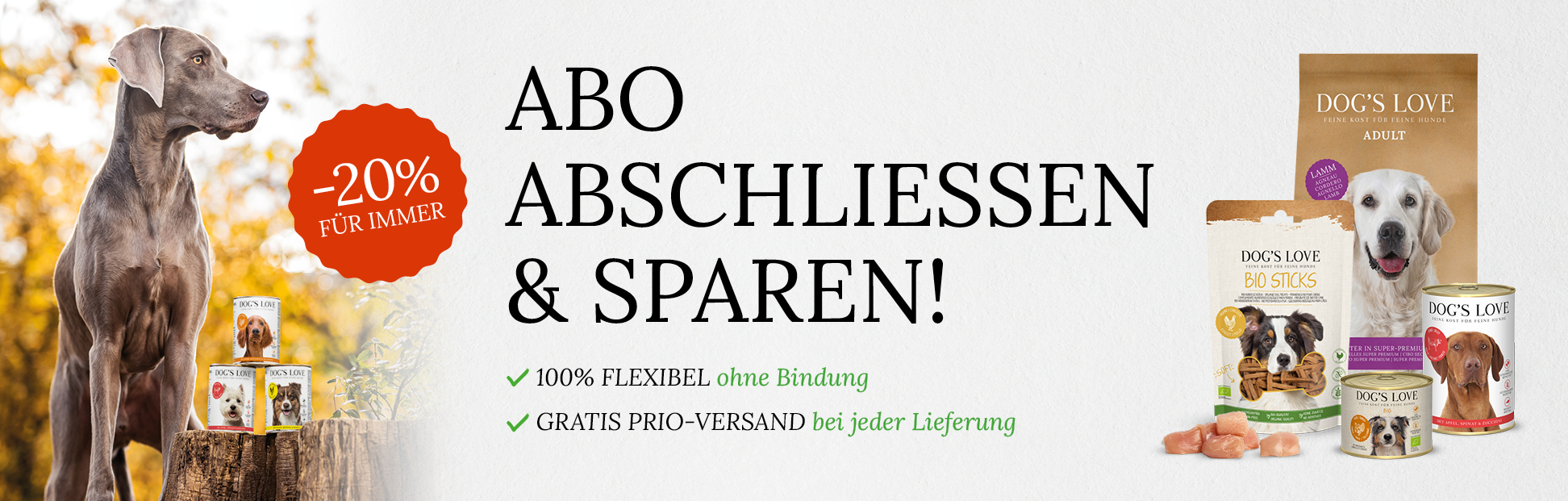 Abo Abschliessen & Sparen