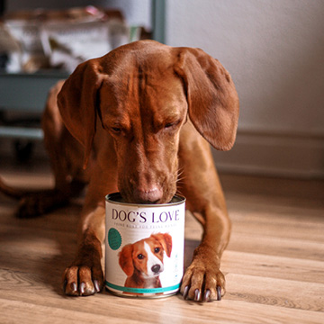 Dog wet food