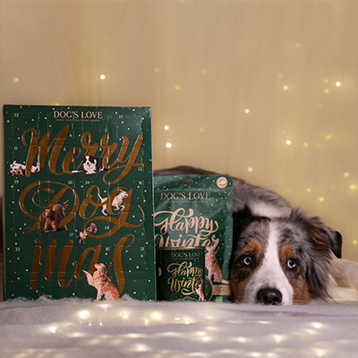 DOG’S LOVE Wintertrio