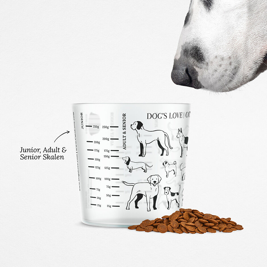 Dry dog food deals measuring cup