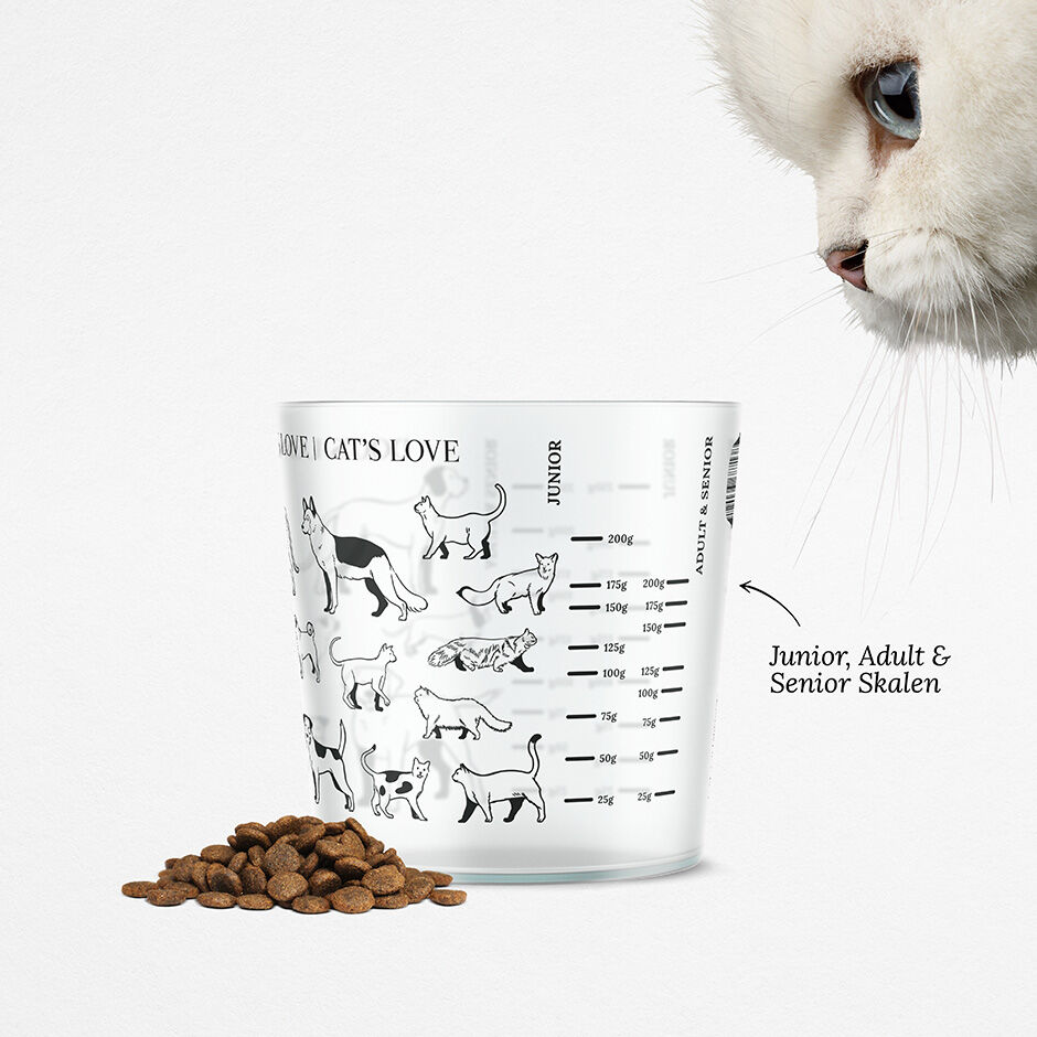Dry dog food measuring cup store