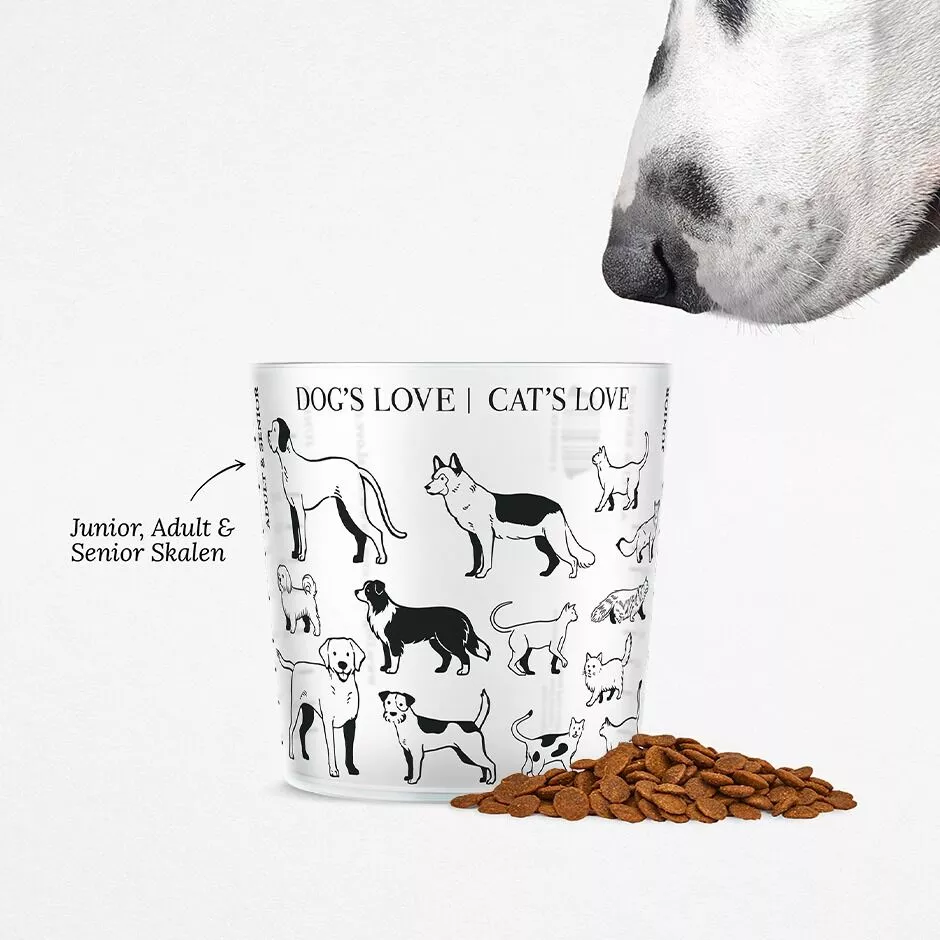 hundebett waschbar orthopdisch Weiches orthopdisches Hundebett  warm, sttzend und waschbar  Happy-Fits