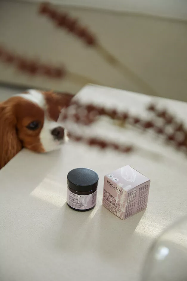 Natural paw balm