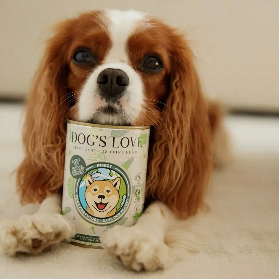DOG'S LOVE Premium Dog Food Insect Pure | Buy Now