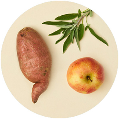 Sweet potato, apple and sage on a beige background