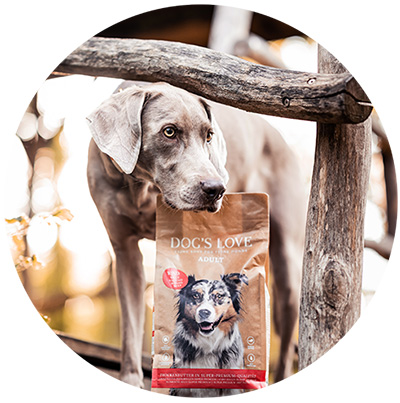 Weimaraner with a pack of DOG'S LOVE dry food on a tree house