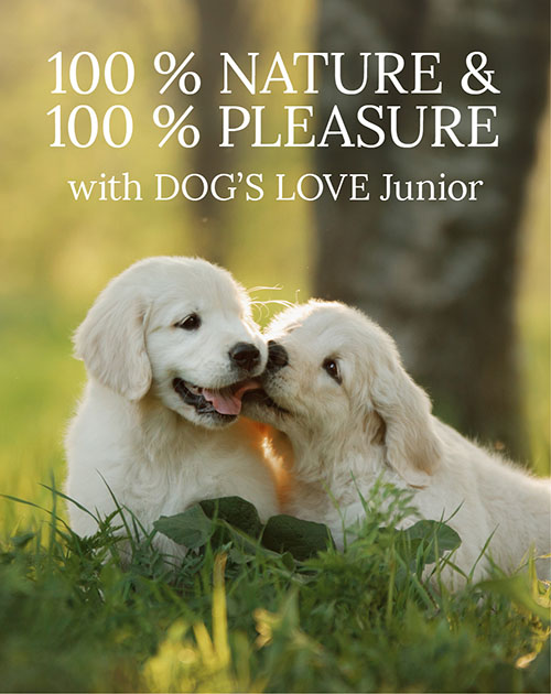 Puppies in a meadow with text: 100% Nature & 100% Indulgence with DOG'S LOVE Junior