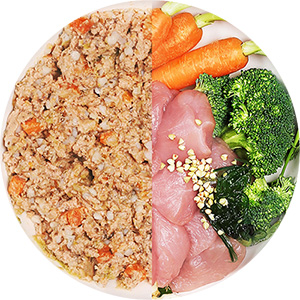 Feeding bowl with wet food and contents such as chicken, broccoli and carrots