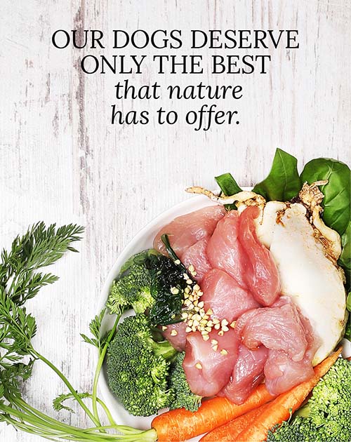 Banner with the text: Our dogs deserve only the best that nature has to offer. As well as an image of a feeding bowl with different raw materials