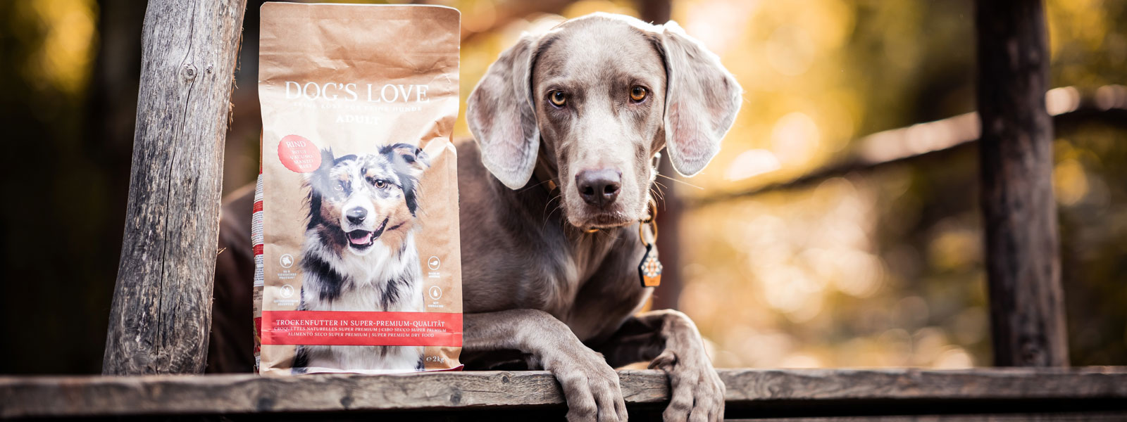 dog beside a package of DOGS LOVE dry dog food