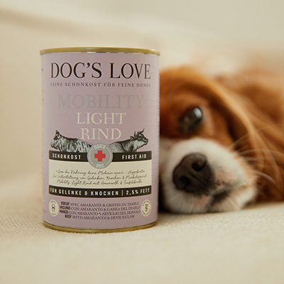 dog lying beside a container of dogs love mobility light beef product