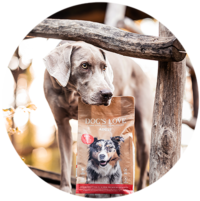 Weimaraner con un paquete de comida seca DOG'S LOVE en una casa del árbol
