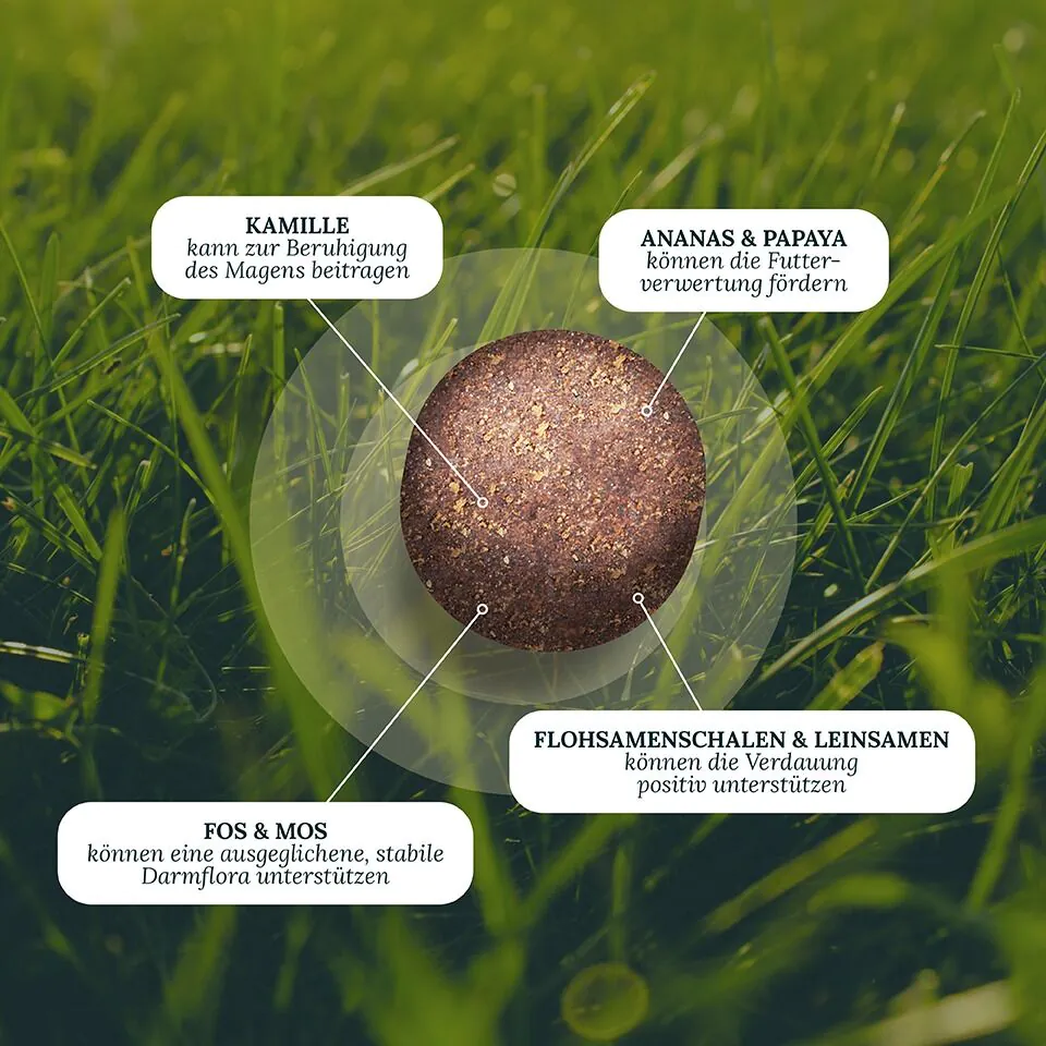 Smart Snacks VITAL+ Belly