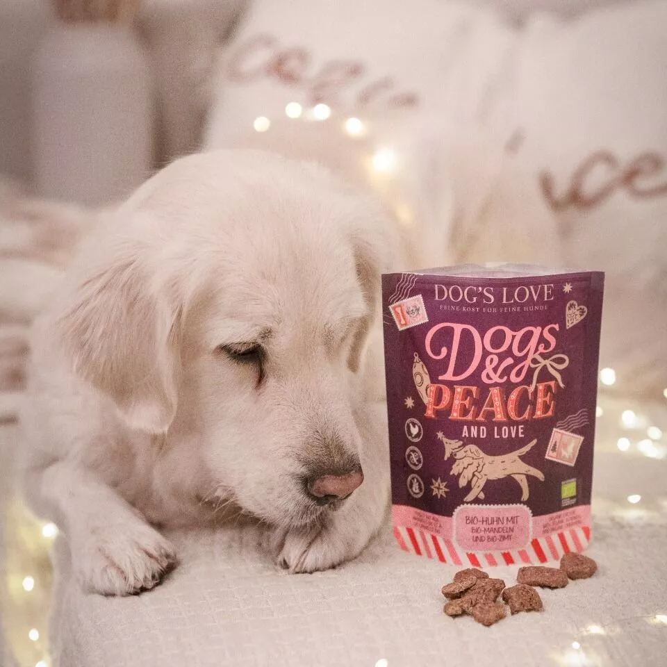 Smoofl Mélange Pour Chien Ice / Eis-Mix Pour Chiens Fraise 160 G, Neuf