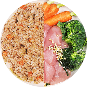 Mangeoire avec aliments humides et contenus tels que poulet, brocoli et carottes