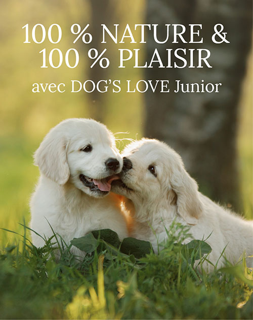 Chiots dans une prairie avec texte : 100% nature & 100% plaisir avec DOG'S LOVE Junior
