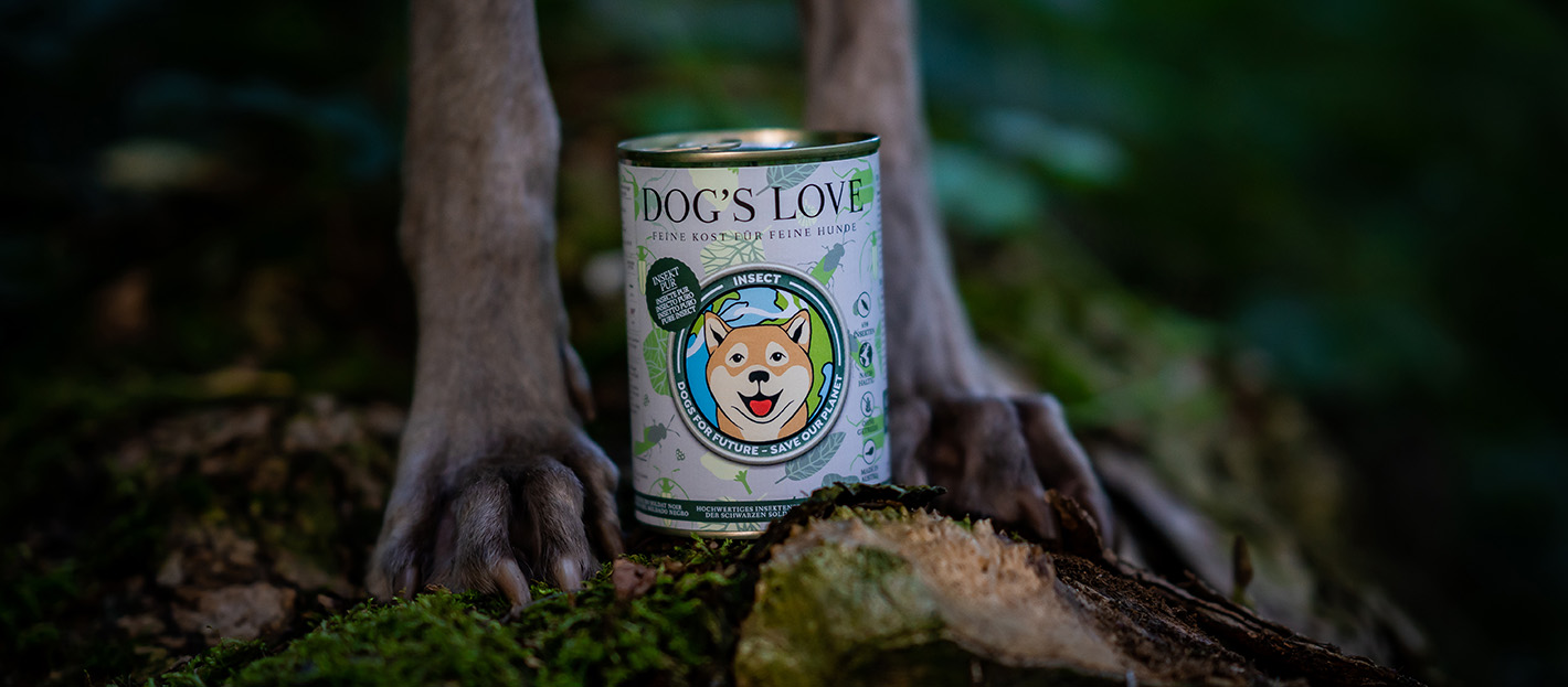 Des pattes de chien qui se tiennent sur un sol recouvert de mousse dans la forêt et entre elles se trouve une boîte de DOG'S LOVE Insect Pur.