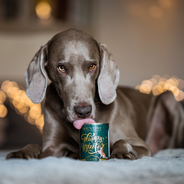 Cibo umido per cani