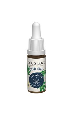 Canna olio, olio di canapa biologico