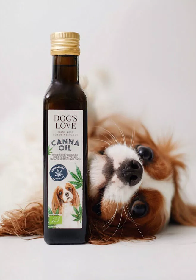 Canna Canis olio