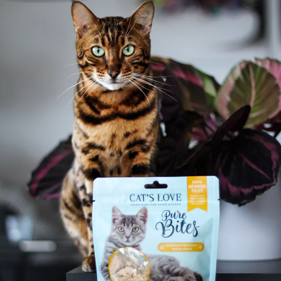 Prelibatezze Pure Bites | Filetti di Pollo