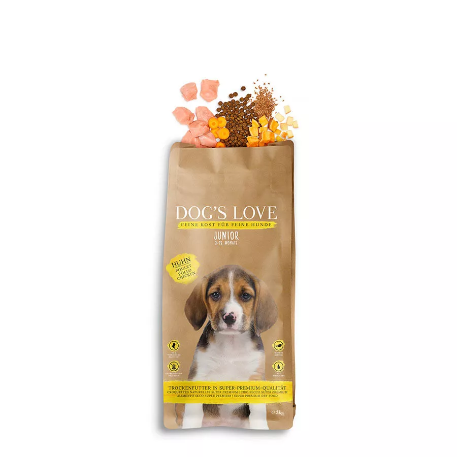 Cucciolo pollo
